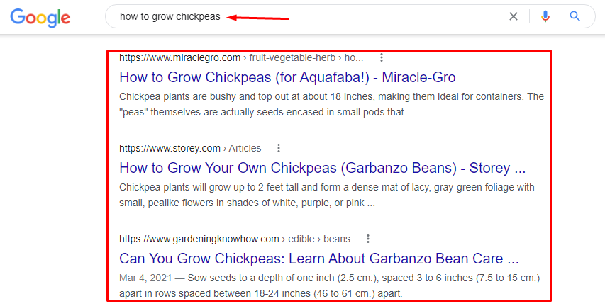 Screenshot of Google searches